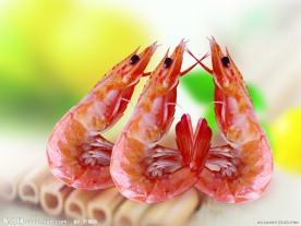 烘干虾