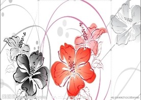 百合花