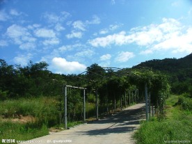 风景区