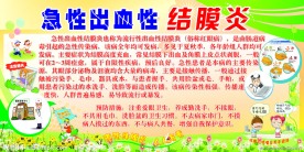 师专结膜炎板报