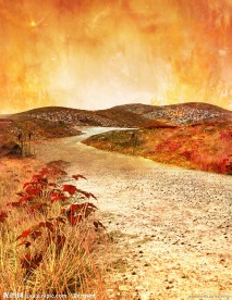 梦幻秋季背景 山路 天空 枫叶