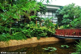 小桥流水