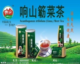 茶 草地 山 茶树 勒菜茶 香茶