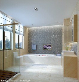 居住空间 卫生间