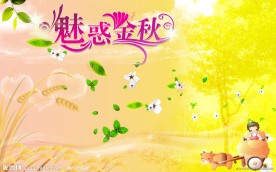 金色的秋天 魅惑金秋