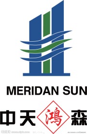 中天鸿森logo