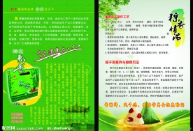 端午节宣传单