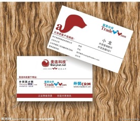 贸易伙伴高档名片设计