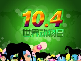 10 4 世界动物日