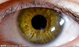 人眼近照