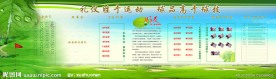 绿色背景模板