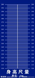 身高尺