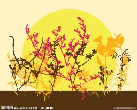 秋天浪漫花纹 底纹