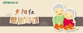重阳节广告