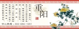 重阳节活动