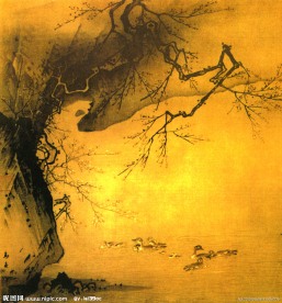 寒鸭戏水