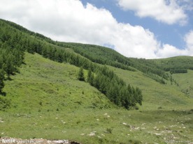 蓝天绿山