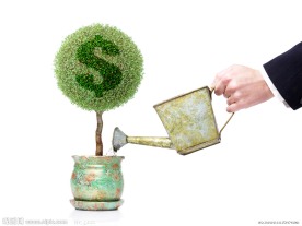 商务特写 给绿树浇水的手