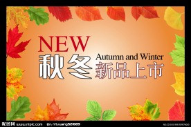 2010秋冬新品上市模板