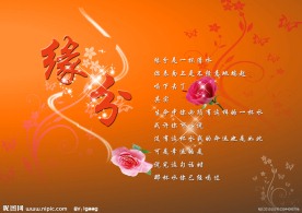 婚纱模板