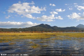 拉市海