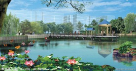 湿地公园水边效果图