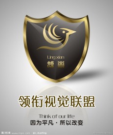 领衔视觉LOGO