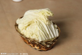 大白菜