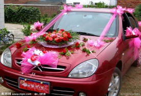 婚礼花车样品