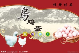 蛋品包装