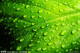 水珠