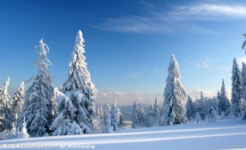 冬季雪景高清图片