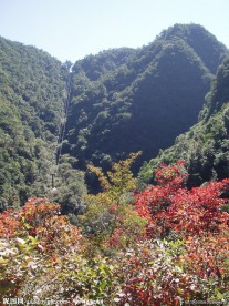 漫山红遍