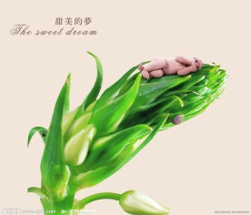 儿童与植物