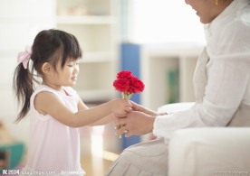 康乃馨
