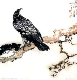 松鹰