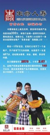 保险X展架