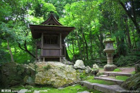 树林里的寺院