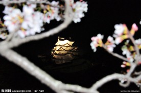 夜樱与古城