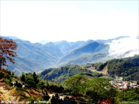 阿里山