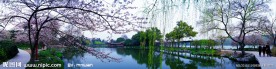 西湖风景