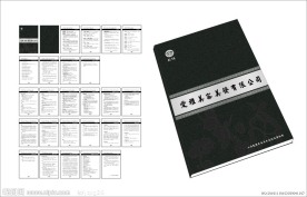 爱雅企业文化书