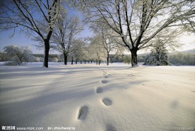 冬季雪景高清图片