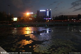 那湖那楼