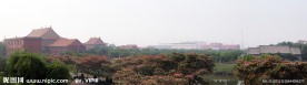东光风景