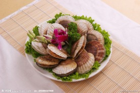 夏威夷贝