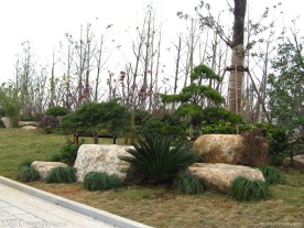2009道路绿化金奖 康桥路景观照片