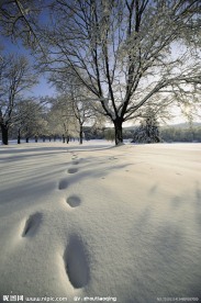 冬季雪景高清图片