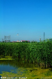 油城风光 大庆 油田