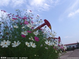 油城风光 大庆 油田